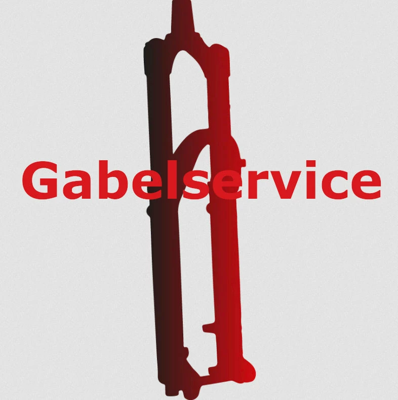 FOX 32 Federgabelservice 1 FOX 32 Federgabelservice